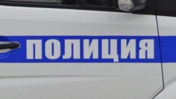 В Бежаницком районе полицией раскрыт угон иномарки